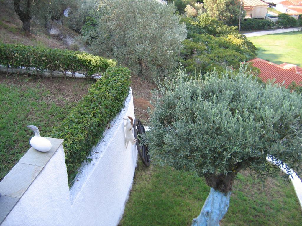 Villa Frideriki Agia Paraskevi  Ruang foto